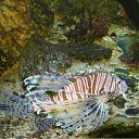 ���� �������, ������������ - ��������� 2 ���� 2010 � ������ �������