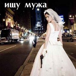 ����, �������, 43 ����