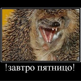���� ������, ����, 41 ��� - ��������� 30 ���� 2011