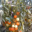 ���� ����������, ������, 58 ��� - ��������� 20 ������ 2013 � ������ ���� ����������