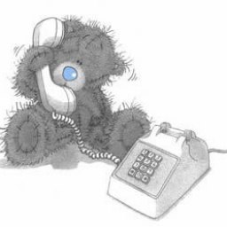 _-_����������, ����, 24 ����