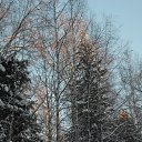 ���� ������, �����, 48 ��� - ��������� 19 ������� 2012