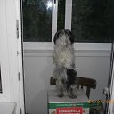 ���� ���� �-238, ������ - ��������� 3 ���� 2013 � ������ ����� ��� ������������