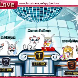 ���� ����, �����������, 52 ���� - ��������� 9 ������� 2011