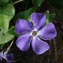 ���� Deemon, ������, 41 ��� - ��������� 19 ������� 2010