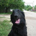 ���� Romantic, ����, 33 ���� - ��������� 2 ������ 2009 � ������ �� � ������