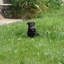 ���� �������, ��������, 37 ��� - ��������� 2 ������ 2009 � ������ ����������