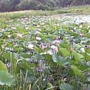 ���� ������, ������, 59 ��� - ��������� 23 ���� 2012 � ������ �������