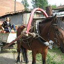 ���� �������, �����������, 32 ���� - ��������� 16 ���� 2011 � ������ ���� ����������