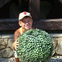 ���� �����, �����-���������, 24 ���� - ��������� 23 ���� 2013 � ������ ���� ����������