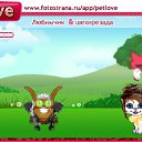  , , 24  -  12  2010   PetLove
