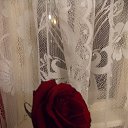 ���� �����, �������� - ��������� 23 ������ 2012 � ������ �Foto Sympathy�