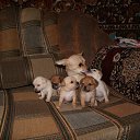 ���� ������, ����� - ��������� 19 ������ 2012 � ������ �������