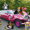 ���� �����, ����, 39 ��� - ��������� 10 ������� 2010 � ������ ���������