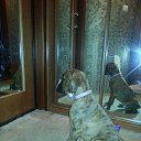 ��� ������� �� ������� ���� ���� �����߻