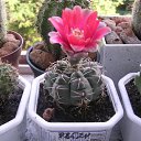 ���� ������, �������, 64 ���� - ��������� 26 ���� 2011 � ������ �����Ȼ