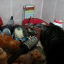 ���� Meritaton, ����, 47 ��� - ��������� 8 ������� 2009 � ������ �������������)) ���....�