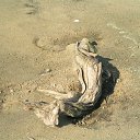 opus �1 �� ������� �������� � �����-�����, ������ �� �������!�