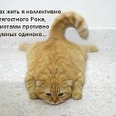 ���� ���������!!, ������, 57 ��� - ��������� 29 ���� 2013 � ������ ���� ����������