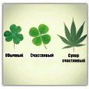 ���� �����, ��������, 36 ��� - ��������� 16 ������� 2012 � ������ �������