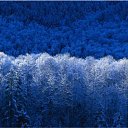 ���� �����, ������, 26 ��� - ��������� 25 ���� 2010 � ������ �������