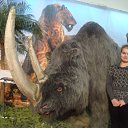 ���� �����, �������������, 25 ��� - ��������� 28 ���� 2013 � ������ �� �� ���������.�