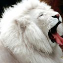 ���� Ruslan, ������, 42 ���� - ��������� 24 ������� 2011