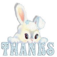 �������, �������, 41 ���