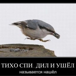 ���� ������, ������� ��������, 63 ���� - ��������� 3 ������� 2010