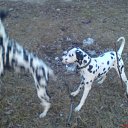 ���� ������, �������, 29 ��� - ��������� 27 ��� 2010 � ������ �����