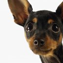 ���� �������, ���������� ����� - ��������� 3 ������ 2010 � ������ ���������