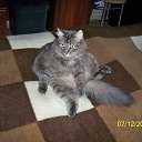 ���� ������, ������, 62 ���� - ��������� 27 ��� 2013 � ������ ���� ����������