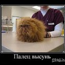 ���� ����, ��������� - ��������� 20 ���� 2013 � ������ ���� ����������