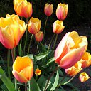 ���� ����� - ���������� ��������!!!, �����������, 56 ��� - ��������� 21 ������ 2010 � ������ ��������ۻ