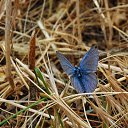 ������ ������� �� ������� ���� ����