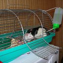 ���� Meritaton, ����, 47 ��� - ��������� 8 ������� 2009 � ������ �������������)) ���....�