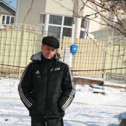 �������, �����, 74 ����