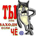 ���� ������, ������ - ��������� 14 ��� 2013