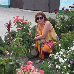 ���� �������, ����, 53 ���� - ��������� 11 ���� 2013