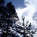 ���� �����, ������������ - ��������� 23 �������� 2012 � ������ ����������