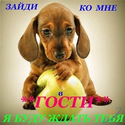 ���� ����, ������, 49 ��� - ��������� 30 ���� 2012