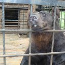 ���� ��������, ������-�������� - ��������� 6 ������� 2010 � ������ �������