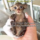 ���� ����� - ���������� ��������!!!, �����������, 56 ��� - ��������� 13 ������� 2009 � ������ ��������� ����һ