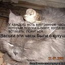 ���� ����, ������������ - ��������� 10 ������� 2010