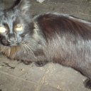 ���� ������, ������, 46 ��� - ��������� 17 ������ 2012