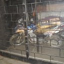 ���� ������, �������, 39 ��� - ��������� 1 ������� 2010 � ������ ��������� ���� ������ 2010 �.�������