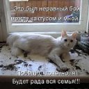 ���� ����, ����, 55 ��� - ��������� 8 ������ 2013 � ������ ���� ����������