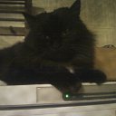 ���� �����, ������ - ��������� 5 ������ 2011 � ������ �����������