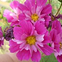 ���� �����, ������ - ��������� 18 ����� 2012 � ������ ���� ����������