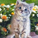 ���� �����, ������, 26 ��� - ��������� 25 ���� 2010 � ������ ���������